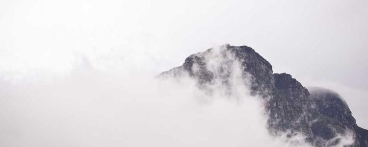 蘑菇视频官网入口 - 海量高清短视频