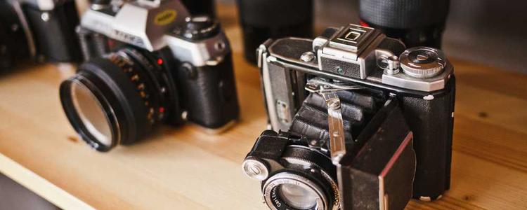 蘑菇视频官网入口 - 互动交流新体验